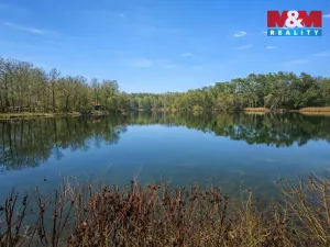 Prodej pozemku pro bydlení, Loučeň - Patřín, 444 m2