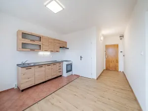 Prodej bytu 1+1, Lovosice, Vodní, 37 m2