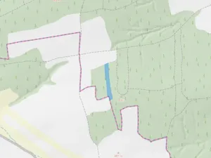 Prodej lesa, Blížejov - Lštění, 6627 m2