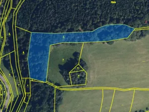 Prodej lesa, Zborov, 9290 m2