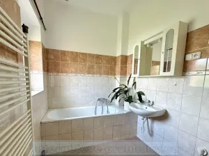 Pronájem bytu 1+1, Praha - Žižkov, Luční, 69 m2