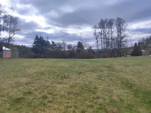 Prodej pozemku, Sázava - Čeřenice, 2478 m2