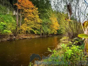 Prodej pozemku pro bydlení, Kaplice, 612 m2