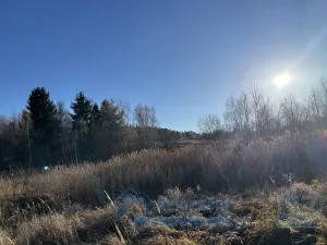 Prodej pozemku pro bydlení, Světlík, 13408 m2