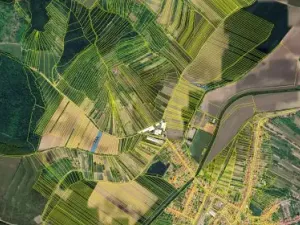 Prodej podílu pole, Kobylí, 915 m2