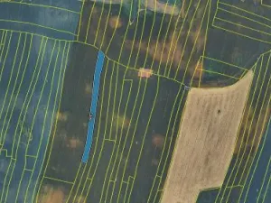 Prodej podílu pole, Trhové Sviny, 1238 m2