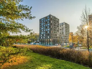 Pronájem bytu 1+kk, Praha - Prosek, Litoměřická, 32 m2