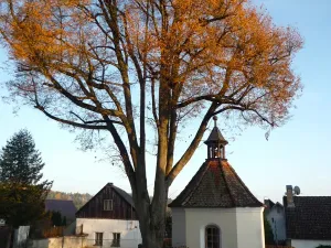 Prodej rodinného domu, Kovčín, 90 m2