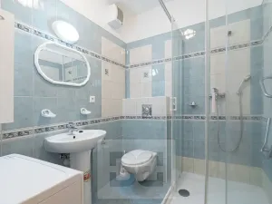 Pronájem bytu 1+1, České Budějovice, 51 m2