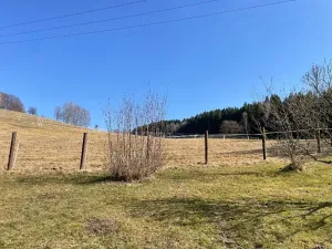 Prodej zemědělské usedlosti, Jeseník, 180 m2