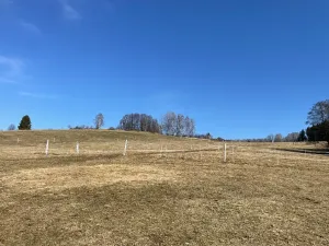 Prodej chalupy, Jeseník, Rejvízská, 180 m2