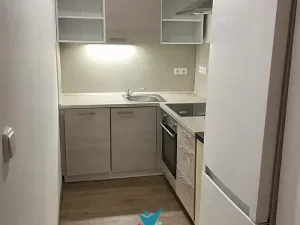 Pronájem bytu 1+kk, Ústí nad Labem, Bratislavská, 45 m2