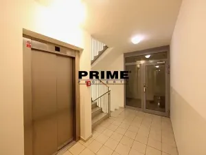 Pronájem bytu 2+kk, Praha - Žižkov, Jeseniova, 54 m2