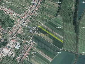 Prodej podílu pole, Svatobořice-Mistřín, 839 m2