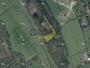 Prodej podílu lesa, Úštěk, 1451 m2