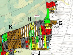 Dražba lesa, Hosty, 1735 m2