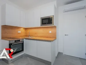 Pronájem bytu 1+kk, Brno, Bratislavská, 28 m2