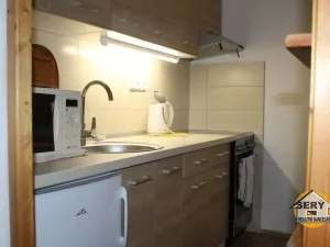 Pronájem bytu 1+kk, Jihlava, Srázná, 36 m2