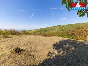 Prodej zahrady, Židlochovice, 3718 m2