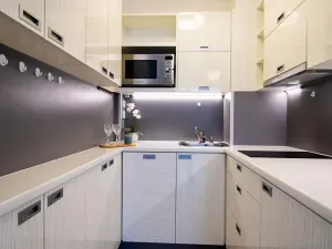 Pronájem bytu 2+kk, Praha - Vinohrady, Písecká, 56 m2