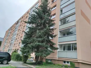 Prodej bytu 3+1, Česká Lípa, Jana Wericha, 71 m2