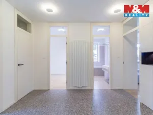 Pronájem bytu 4+kk, Praha - Dejvice, Na Hanspaulce, 118 m2