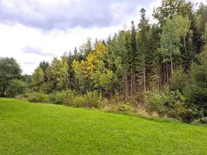 Prodej bytu 2+1, Železná Ruda, 53 m2