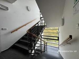 Pronájem bytu 1+kk, Brno, Božetěchova, 52 m2