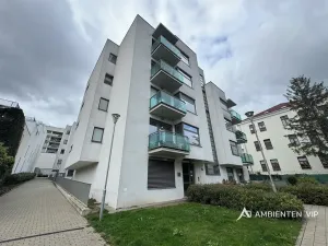 Pronájem bytu 1+kk, Brno, Božetěchova, 52 m2