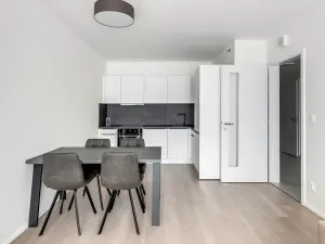 Pronájem bytu 2+kk, Praha - Vysočany, Hindlova, 53 m2