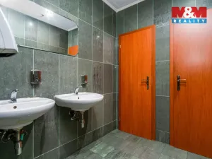 Prodej obchodního prostoru, Praha, Trnkovo náměstí, 324 m2