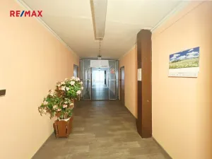 Prodej komerční nemovitosti, Kraslice, Palackého, 1800 m2