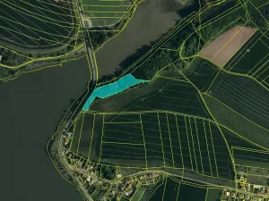 Dražba lesa, Zlín, 6641 m2