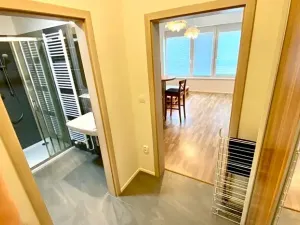 Pronájem bytu 1+kk, Brno, Přadlácká, 31 m2