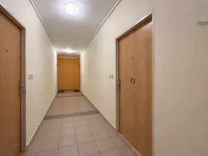 Pronájem bytu 1+kk, Brno, V Újezdech, 30 m2