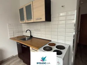 Pronájem bytu 1+1, Krupka, Karla Čapka, 35 m2