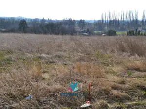 Prodej komerčního pozemku, Modlany, 6268 m2