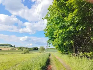 Pronájem chalupy, Mladý Smolivec, 65 m2