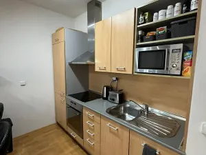 Pronájem bytu 1+kk, Brno, Kosmova, 40 m2