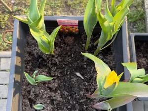 Prodej bytu 2+kk, Praha - Michle, U plynárny, 37 m2