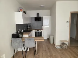 Pronájem bytu 1+kk, Uherské Hradiště, Zahrádky, 39 m2