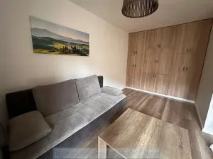 Pronájem bytu 1+kk, Praha - Dejvice, Kanadská, 27 m2