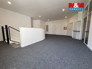 Pronájem kanceláře, Ostrava - Přívoz, Trocnovská, 240 m2