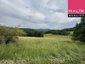 Prodej louky, Stráž nad Ohří, 308543 m2