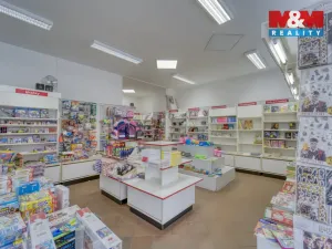 Pronájem obchodního prostoru, Plzeň - Vnitřní Město, Bedřicha Smetany, 304 m2