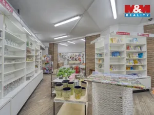 Pronájem obchodního prostoru, Plzeň - Vnitřní Město, Bedřicha Smetany, 304 m2