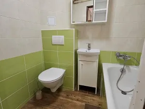 Pronájem bytu 1+1, Litvínov - Horní Litvínov, Podkrušnohorská, 40 m2