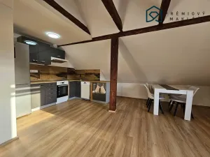 Pronájem bytu 2+kk, Litvínov - Chudeřín, Chudeřínská, 110 m2