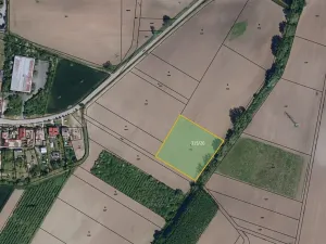 Prodej pole, Přítluky, 7205 m2