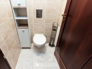 Prodej rodinného domu, Králův Dvůr, 262 m2